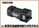 AC系列微型交流減速電機
